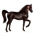 cheval de selle hanovrien alezan