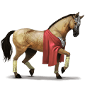 poney gra