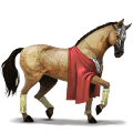 cheval de selle lusitanien bai cerise