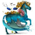 poney fjord brunblakk