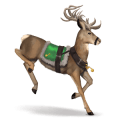 cheval divin dancer