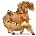 cheval de selle bai