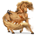 cheval de selle aubère