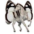 cheval de selle cremello