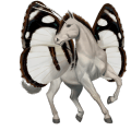cheval de selle cheval islandais rouan