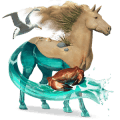 cheval de selle quarter horse bai