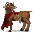 cheval de selle trotteur américain alezan