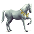 cheval de selle shagya noir