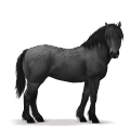 cheval préhistorique cheval des forêts