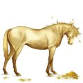 cheval de selle trotteur français bai brûlé