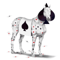 cheval de selle paint horse pie alezan overo