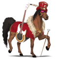 poney poney de selle belge bai
