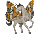 licorne de selle noir