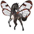 cheval de selle shagya gris pommelé