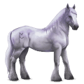 cheval divin greyfell   3