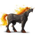 cheval de selle anglo-arabe aubère