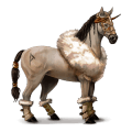 poney fjord gulblakk