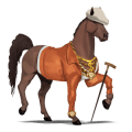 cheval de selle oldenbourg rouan