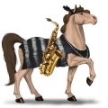 cheval de selle oldenbourg aubère