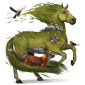 poney shetland bai