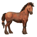 cheval de selle trotteur orlov gris clair
