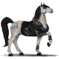 cheval de selle quarter horse palomino