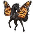 poney shetland bai brûlé