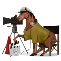 cheval nomade réalisateur