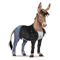 cheval de selle quarter horse palomino
