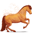 cheval de l'arc-en-ciel cool carrot