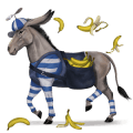 pégase de selle cheval de selle allemand bai brûlé