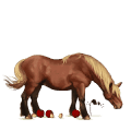 poney licorne brunblakk