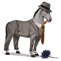 cheval de selle lusitanien isabelle