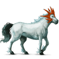 cheval de selle konik polski gris souris