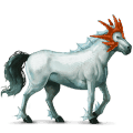 poney licorne quarter pony aubère