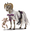 cheval de selle alezan