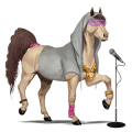 cheval de selle morgan alezan brûlé crins lavés