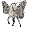 cheval de selle bai brûlé