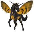 cheval de selle arabe alezan brûlé