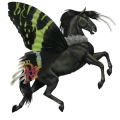 cheval de trait shire noir