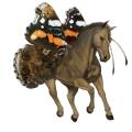 cheval de trait drum horse pie tovero noir