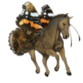 cheval de selle trotteur orlov alezan