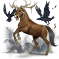 cheval de selle alezan