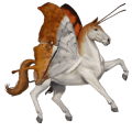 licorne de selle tinker palomino