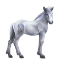 cheval divin greyfell   2