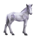 cheval divin greyfell   3