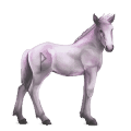 cheval divin greyfell   5