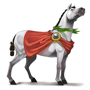 poney pégase français de selle bai