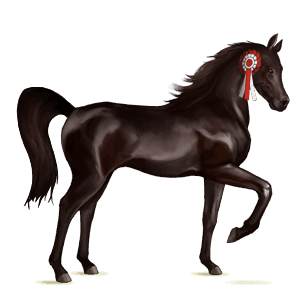 cheval de selle quarter horse alezan