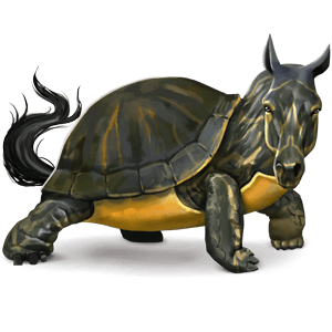 cheval sauvage tortue
